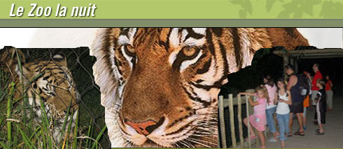 Un Zoo la nuit Un Zoo la nuit