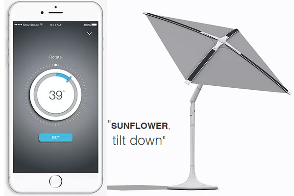 application parasol sunflower application parasol sunflower