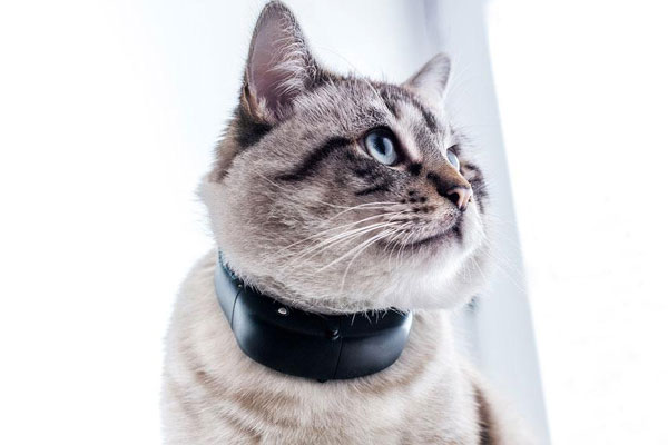 gps tractive cat gps tractive cat