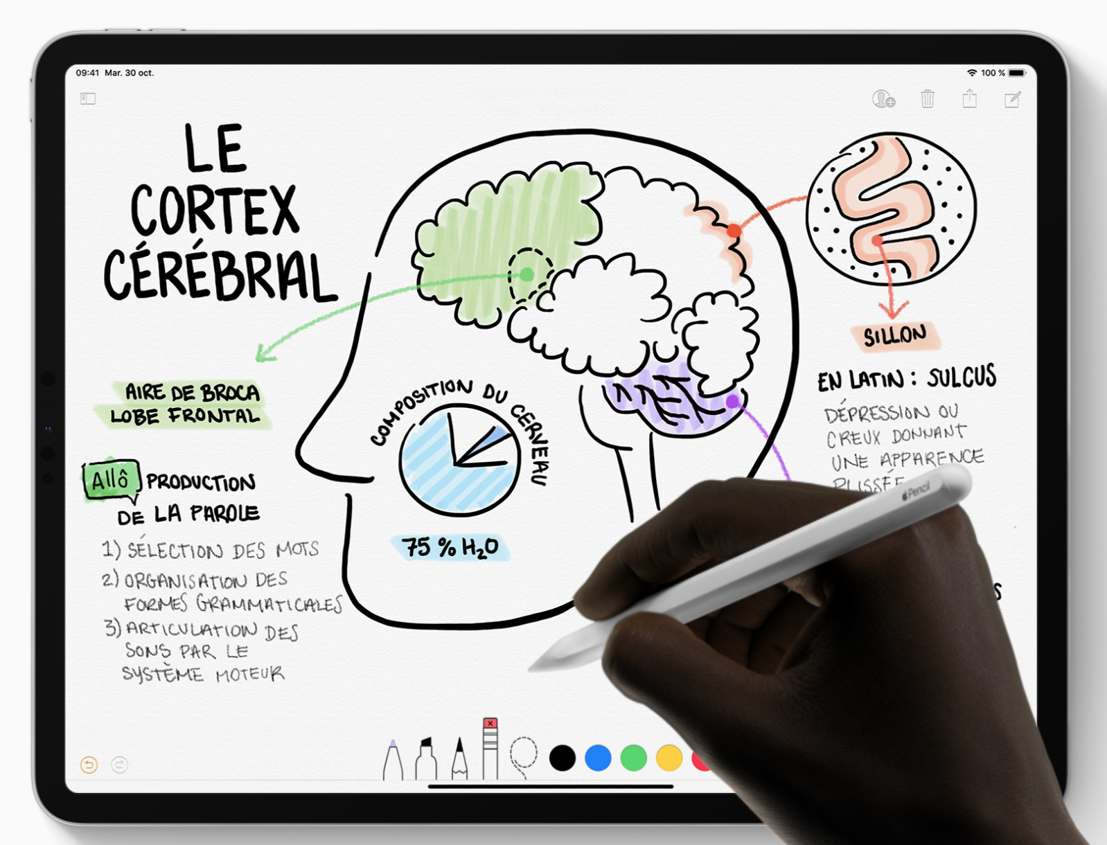 Apple introduit un nouveau crayon pour l'iPad Pro. Apple Pencil iPad Pro 2018
