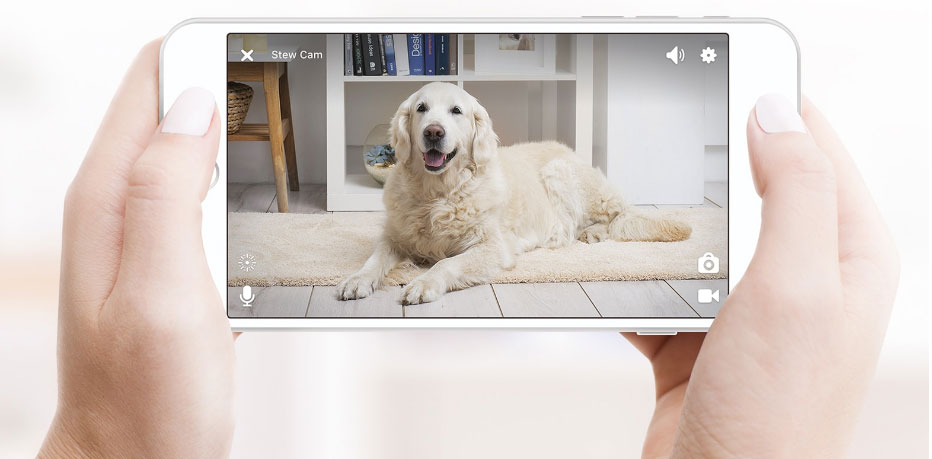 Petcube téléphone Petcube téléphone
