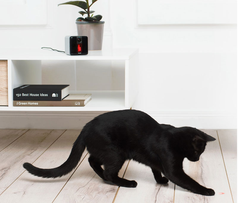 Petcube dans le décor Petcube dans le décor
