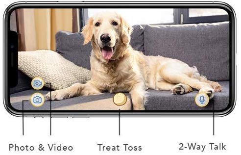 Furbo chien caméra téléphone intelligent