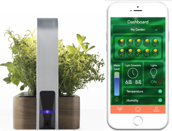 application smallgarden edn