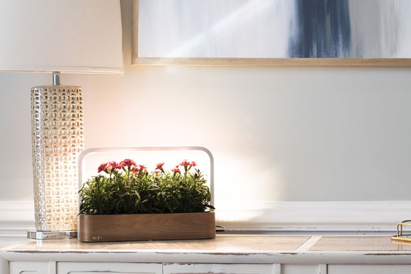 bac fleurs smallgarden