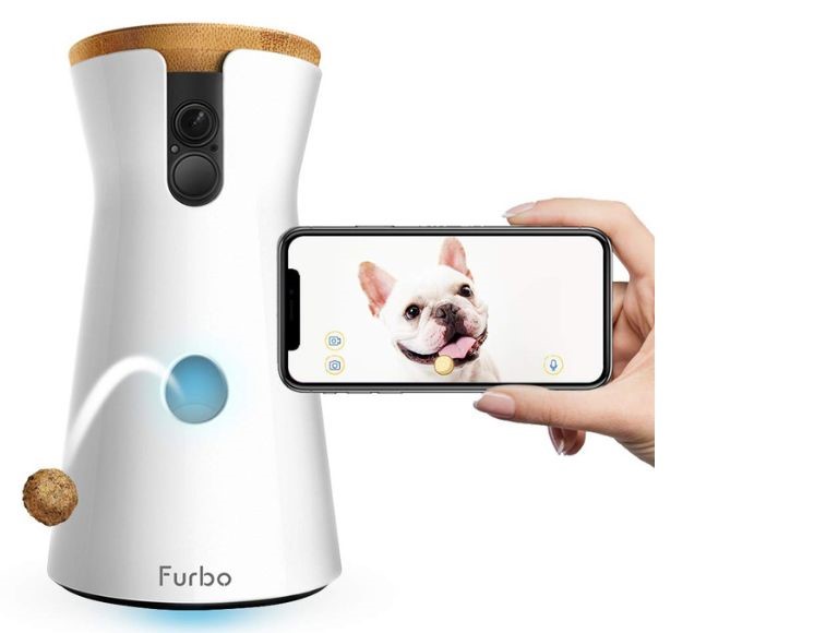 furbo animal camera hd intelligente notifications alertes
