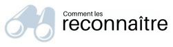 Logo Logo