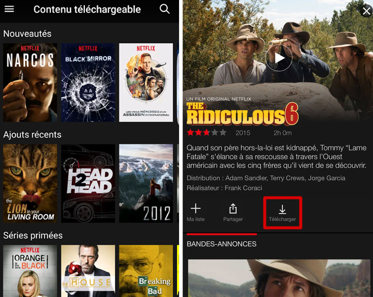 Netflix hors ligne